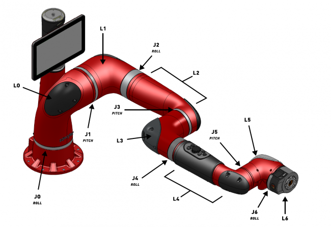 Sawyer Joints and Links Named.PNG